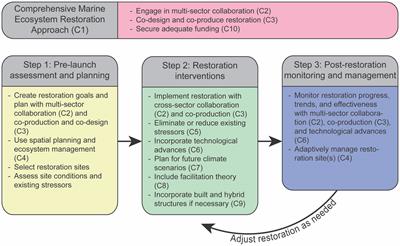 Editorial: Marine ecosystem restoration (MER) – a call for a more inclusive paradigm